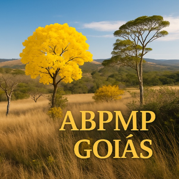 Logo ABPMP Brasil/Goiás